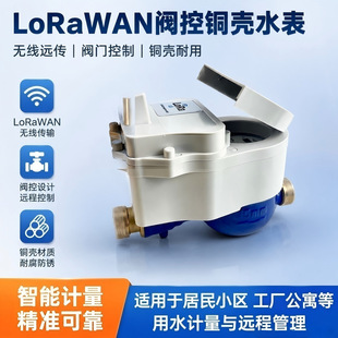 �h������ˮ��S��LoRaWAN���Wˮ�� �@�^�o������ˮ�� Դ�^���S