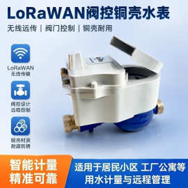 远传智能水表厂家LoRaWAN物联网水表 园区无线抄表水表 源头工厂