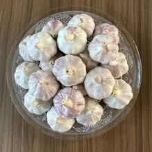 ɽ�|���|�tƤ����