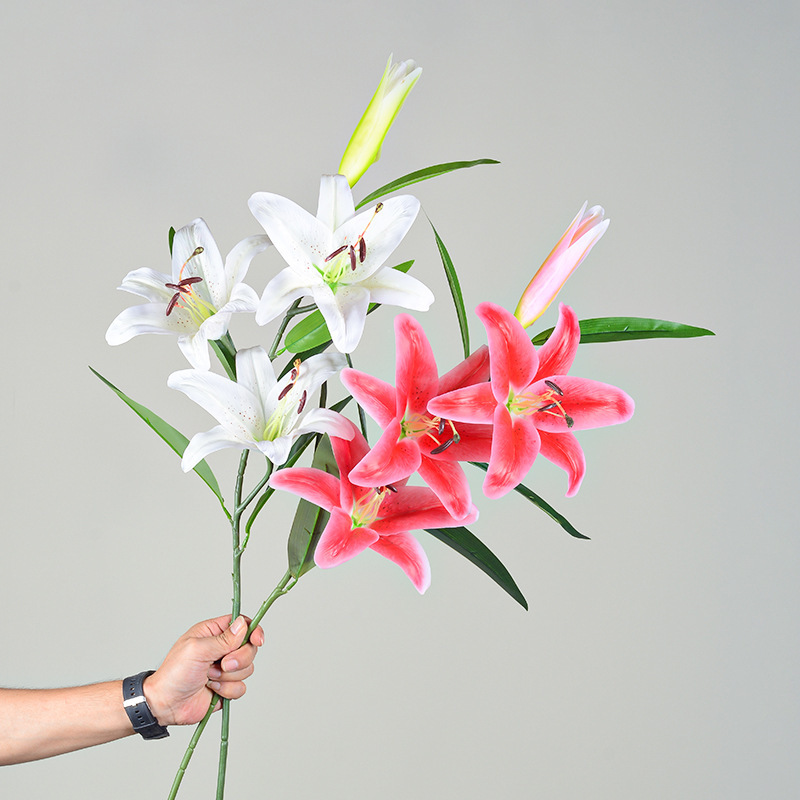 Reprehenderit qui in ea