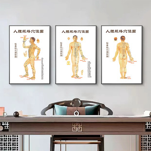 人体经络穴位图装饰画中医馆推拿按摩针灸肩颈经络养生挂画-阿里巴巴