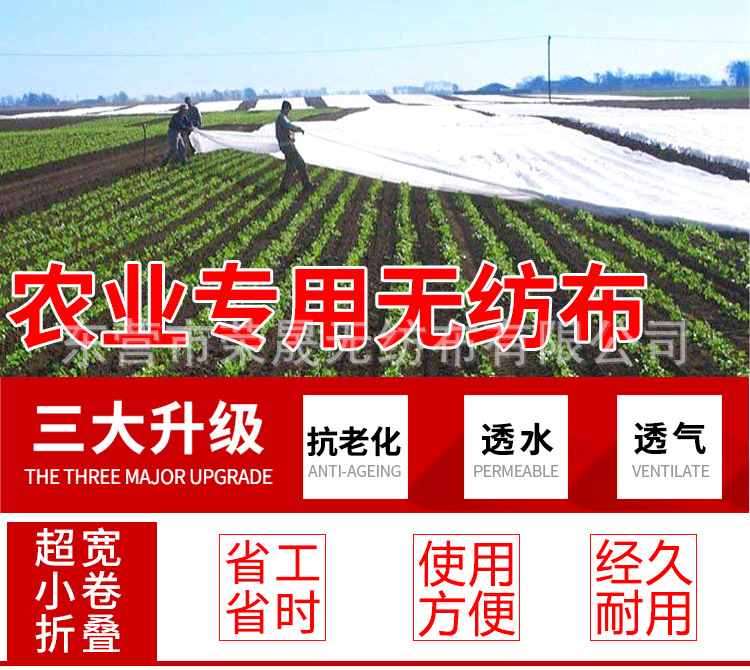 O1CN01IKsEp71cvhSBD2TLS_!!998553663-0-cib.jpg?__r__=1684201735982