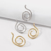 Design fashionable metal earrings, European style, suitable for import