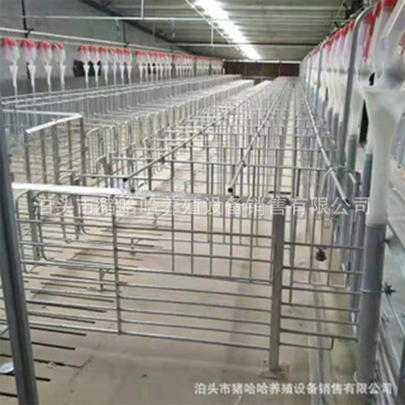 厂家直销 母猪定位栏 育肥定位栏 落地式定位栏 猪用限位栏 大栏-阿里巴巴