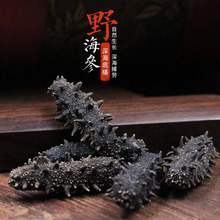 工厂货源海参干货批发辽刺参淡干海参干货产地批发一件代发辽参