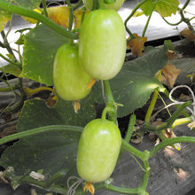 ˮ���S�Ͻ�ͯ��Ů�S�ϷN������Ĵָ�S��С�S�ϷN�ݷN���ļ�����