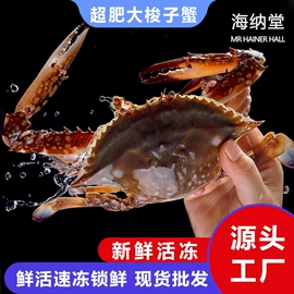 海参;鱼类;贝类