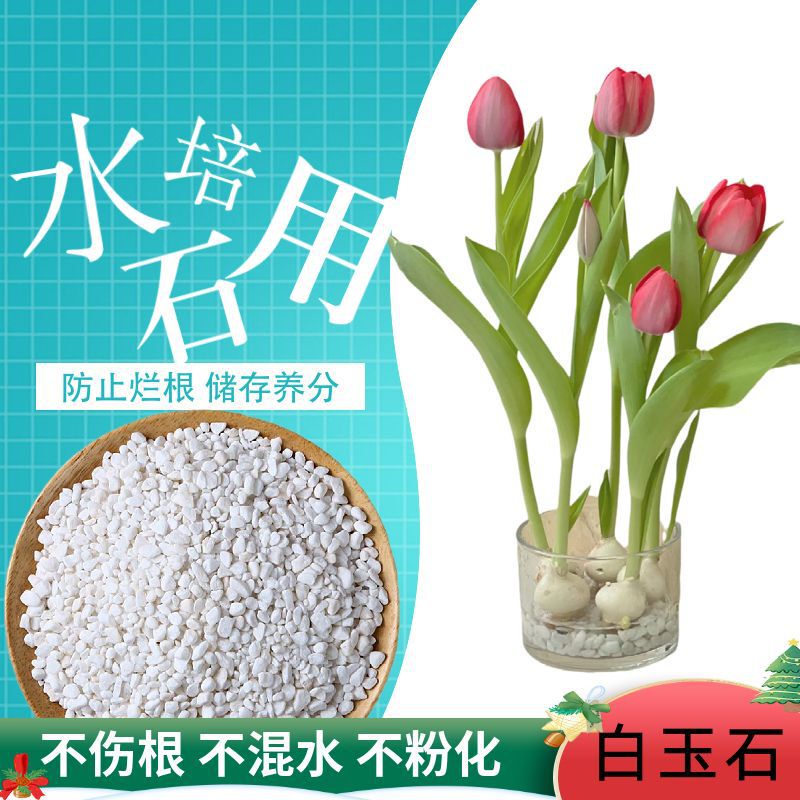 瑞景石水栽培花、小さな白い石、多肉植物舗装石、小石、雨花石、水槽造園鉢植え工場|undefined