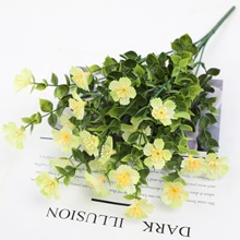 mϽXȼm  ֲ@ˇƷb羳