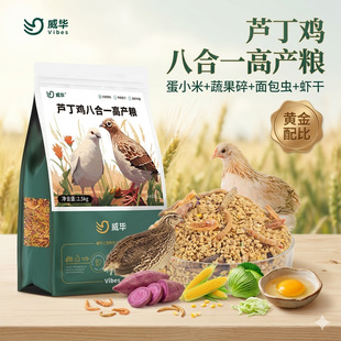 �J���u������Ϯa���µ��Zʳ�����߲����_�����u���r�R���uʳ�Z