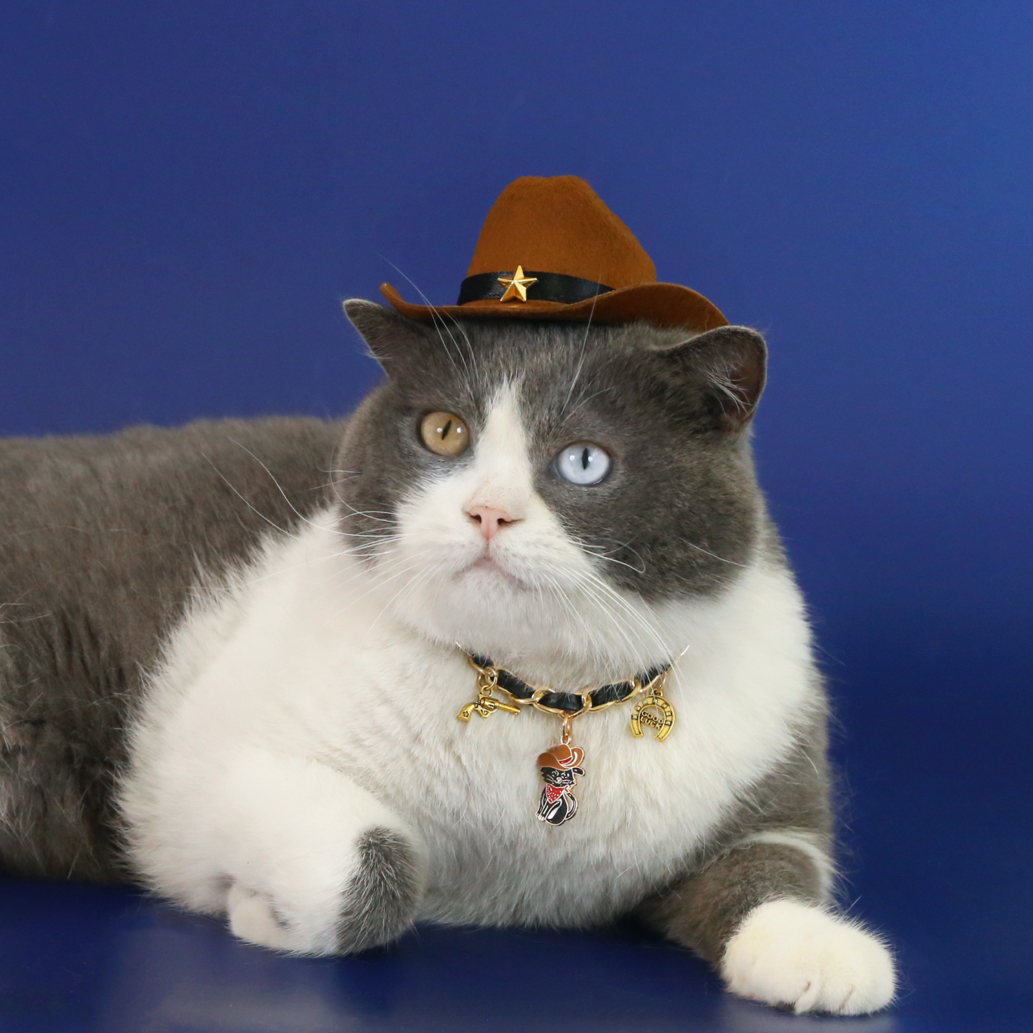 Collar de estilo vaquero occidental de cuero de metal para mascotas, colgante de herradura colgante de gato y cachorro, collar de comercio exterior de estilo europeo y americano