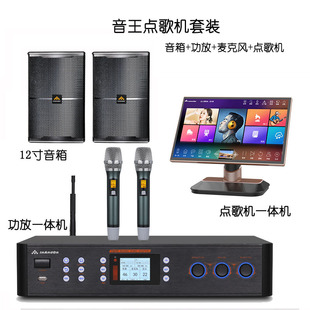 Семейство INANDON KTV Singer Machine All -In -One Kara OK Machine Audio Play Porter Set Factory Wholesale