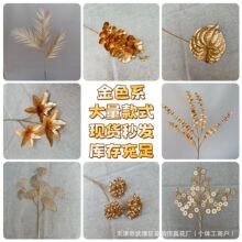 ��ɫϵ�����ϻ����b�Ͱ�y����ľ�����ȼ����ٺϻ���