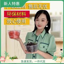 圆形一次性餐盒塑料打加厚透明外卖饭盒快餐带盖一次性汤碗批。