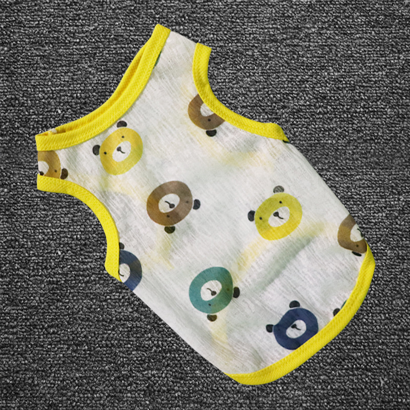 양량의 작은 곰