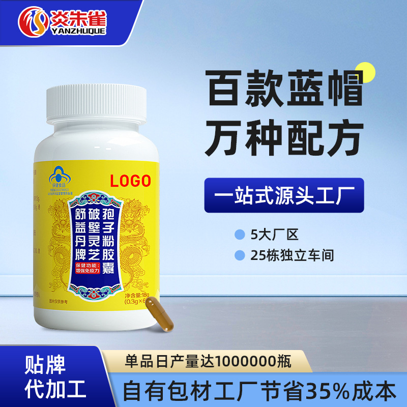 Oem Wall-Breaking Ganoderma Spore Powder Capsules for Middle-Aged and Elderly People to Enhance Immunity and Health Care Food Processing Factory
