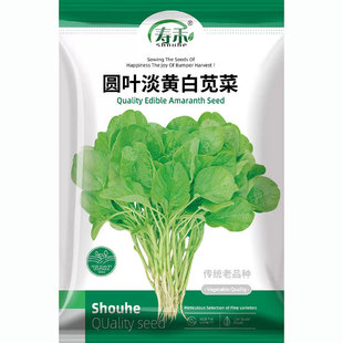 ���A�~�{�˷N�Ѱםh�˷N�������͟��ļ��߲˷N���ļ��˷N���~����