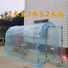 花棚室外肉大棚过冬多塑料大棚家用花房温棚暖房小冬季温室暖棚暖