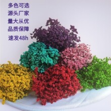 �ɻ���������ˮ�����r���滨�������L�ɔ[�O�����[�����l�b�
