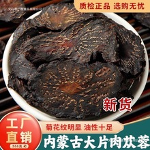 肉苁蓉材正5g旗舰店内蒙古阿拉善大芸肉苁蓉