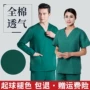 短袖分体男女墨绿洗手衣