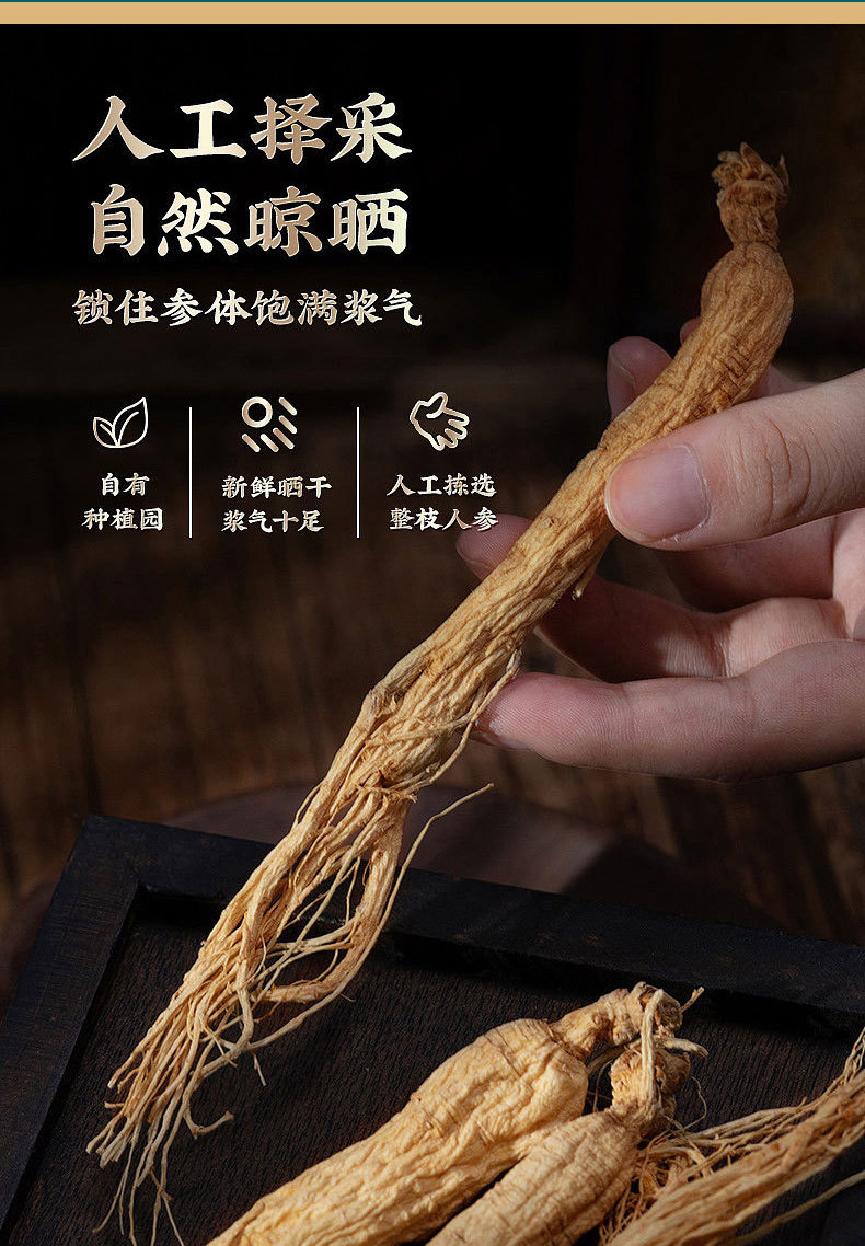 Wild Forest Ginseng Gift Box 40cm Wooden Presentation Case with Certificate Jilin Changbai Mountain in use