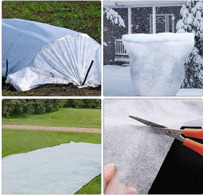 QQ图片20230605191453