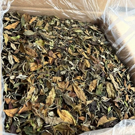 普洱茶;红茶;白茶