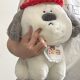 Super cute big nose dog plush toy Hanhan dog doll creative doll pillow cloth doll for men's and women's birthday Wen Wo