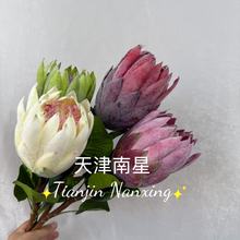 仿真南非帝王花仿真花植绒大帝王高端花材婚礼家居软装外贸出口