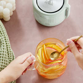 小熊养生壶全玻璃YSH-F04E1小型办公室1人迷你煮茶器燕窝壶电炖杯