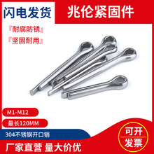 304���P��_���N���NGB91�F؛���l���Ӱl�A�NU���N/M1M1.2M6M8M12