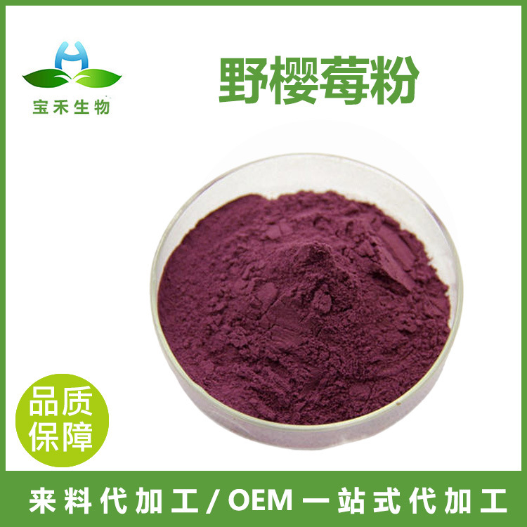 野樱莓粉 98% 野樱莓果粉 野樱莓汁粉 黑果腺肋花楸果粉 固体饮料