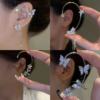 Ear clips with tassels, earrings, no pierced ears, light luxury style