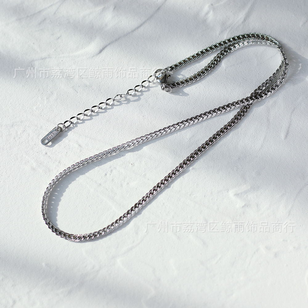 18k Retro Snake Bone Flat Chain Titanium Steel Necklace Wholesale Nihaojewelry display picture 3