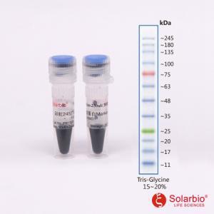 预染彩虹蛋白Marker（11-245KD)   PR1920 厂家直销 品质服务