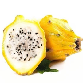 块茎类;其他水果;苹果