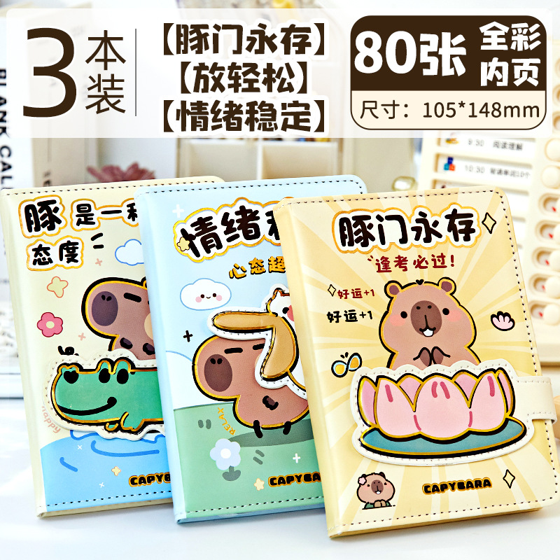 3팩 - 연꽃불교 + 악어마운트 + 정서안정 선판매