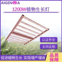 LEDֲL1200w ҎֲL WҎֲL