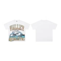 V509 white