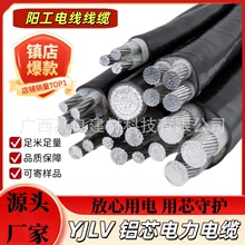 ꖹ�YJLV ������ϩ��| �����Xо�S����������ݔ��|�F؛�ٰl