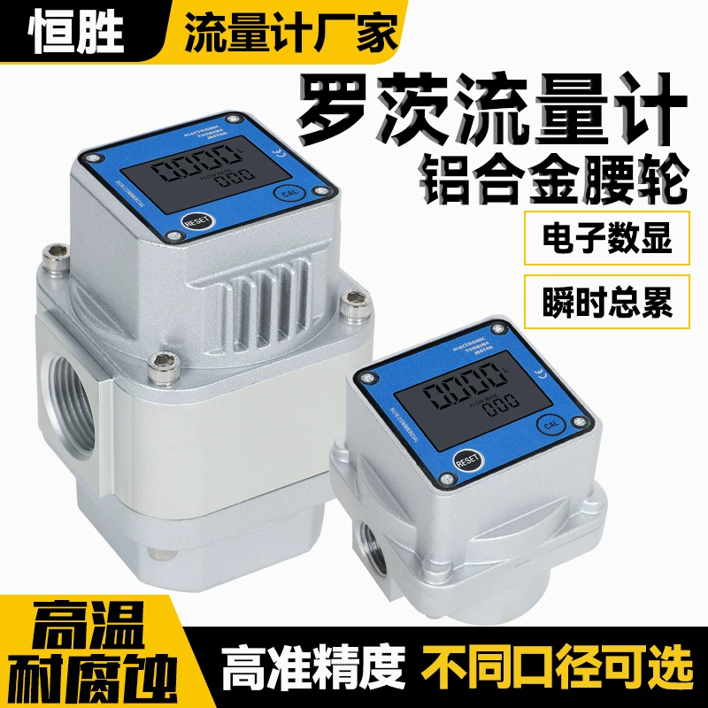 Высокоточный расходомер газа Природный газ Кислород Сжатый воздух Газ Поясное колесо Электронный цифровой дисплей Корни Расходомер