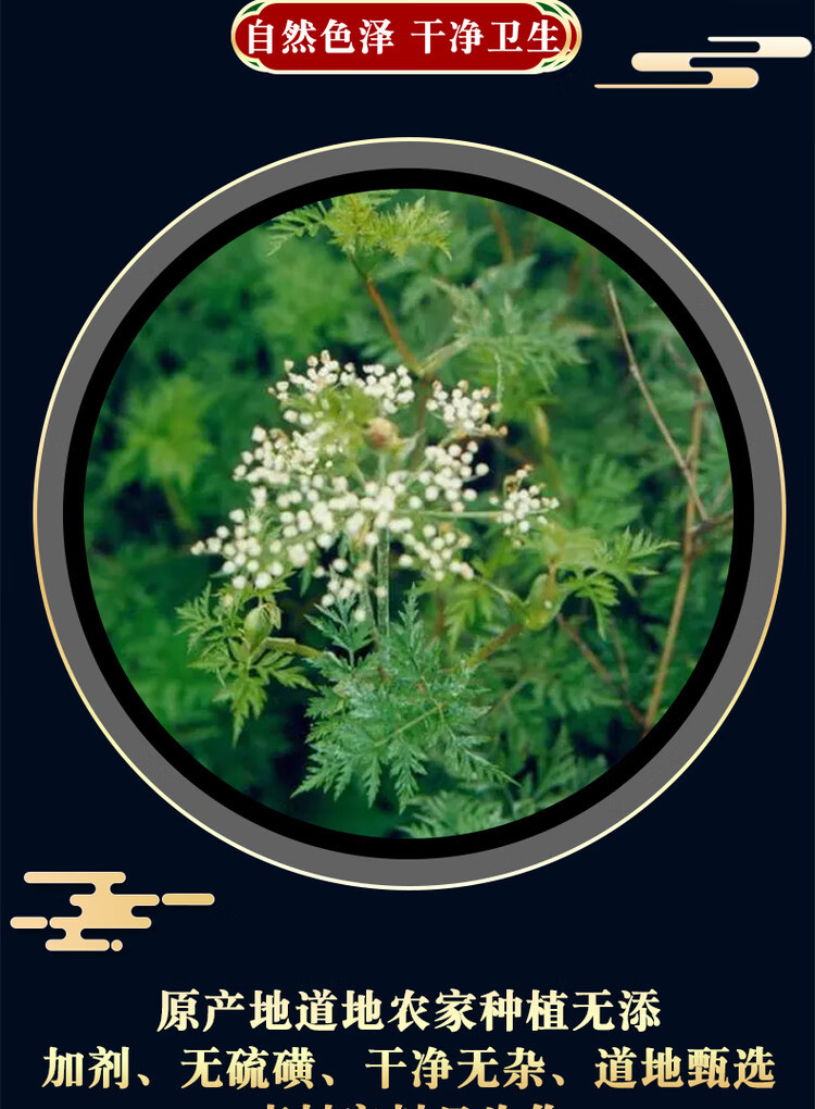 Chuan Xiong Sliced Sichuan Lovage Rhizome 500g Dried Herb for Tea and Decoction key features