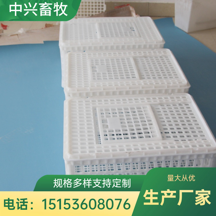 耐压加大加厚周转筐厂家直销 优质现货纯原料新型塑料运鸡筐