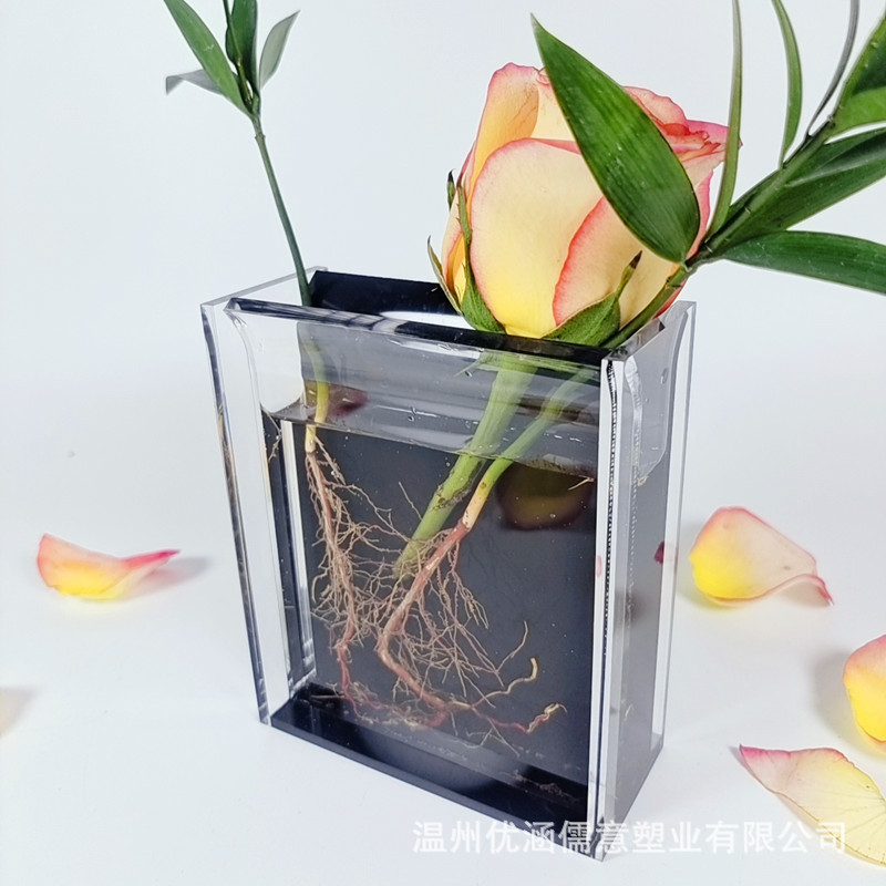 亚克力透明盒收纳绿植盆养花创意简约花瓶装饰摆件客厅水槽插花器