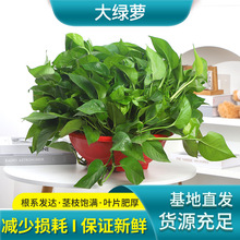 ��G�}ˮ���젝�Gֲ�_�m�������~���ԃ����՚���ȩ����������ȩ