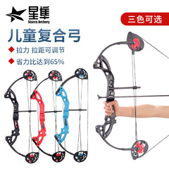 廠家批發兒童複合滑輪弓箭套裝青少年射箭器材入門可調節磅數拉鋸