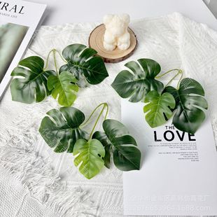 ���������~��������~���~Ƭ����ֲ�DIY����Ҿ��b��^�z�~��