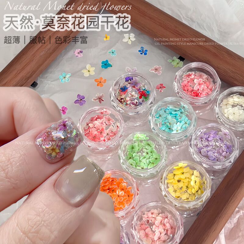 Monet Garden Dried Flower Nail Art Decorations Natural Real Flowers Oil Painting Color Scheme Japanese Style Fresh and Bright DIY Nail Decorations