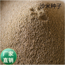 ɳ׷N ɳײ  ɳ ɳݻĮͺͺݷN